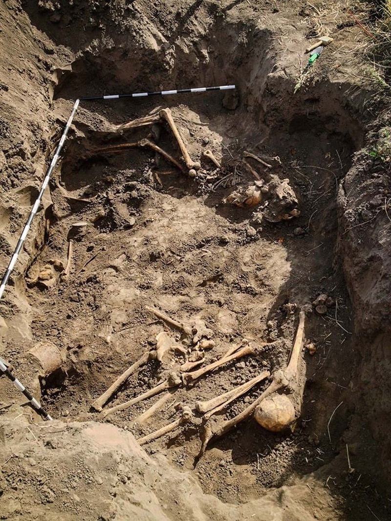 На Житомирщині пошуковці встановили місце масового поховання часів Другої світової