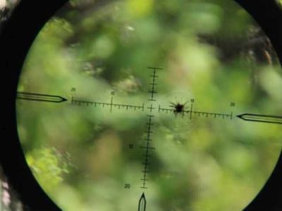 Противник обладнує додаткові вогневі позиції та збільшує кількість снайперів – ГУР