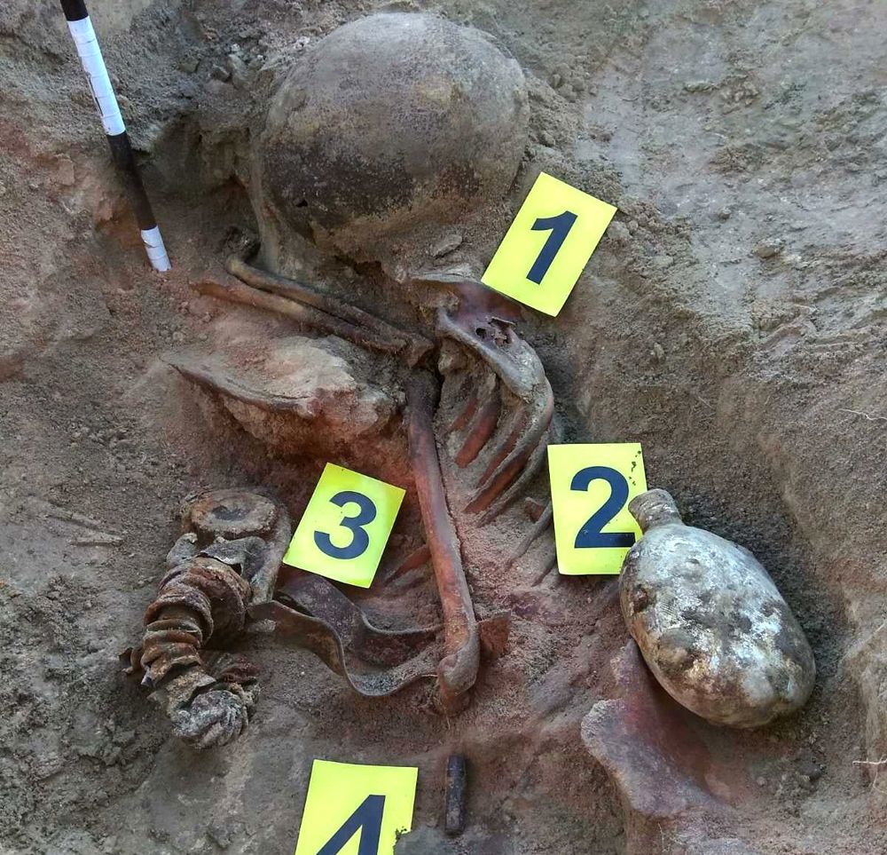 На Житомирщині пошуковці знайшли рештки загиблих воїнів