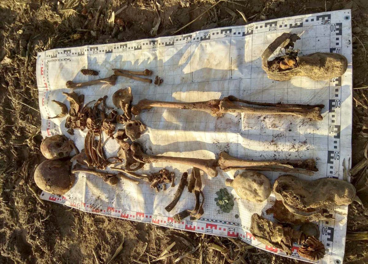 На Житомирщині пошуковці знайшли рештки загиблих воїнів