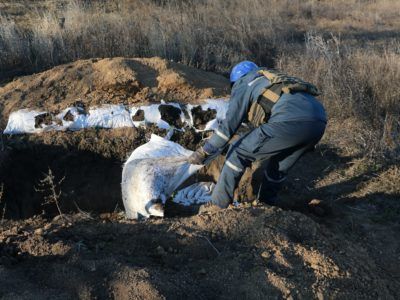 З початку року піротехніки вилучили та знищили понад 64 тисячі вибухонебезпечних предметів – ДСНС  