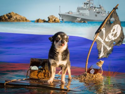 Пірати Чорного моря – надводний флот РФ  