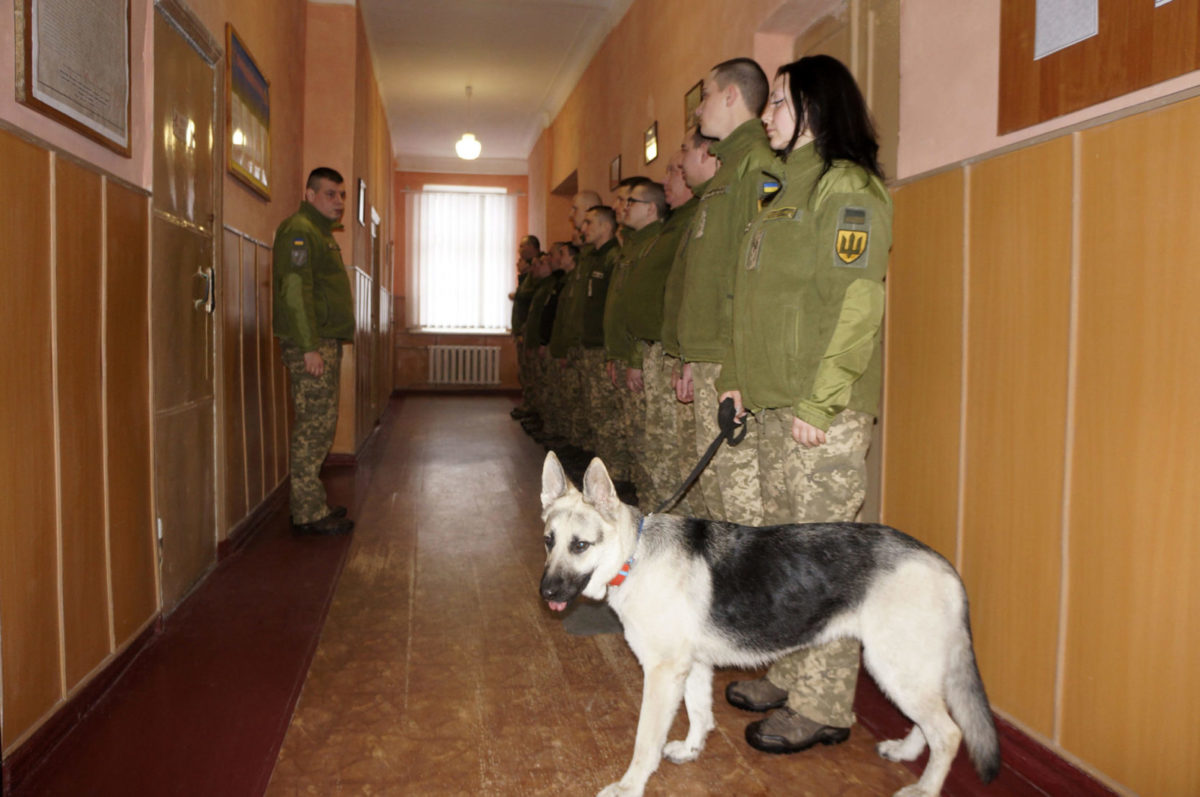 Як військові правоохоронці підтримують порядок у Чугуївському гарнізоні
