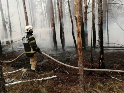 У Чорнобильській зоні ліквідовано один з осередків пожежі  