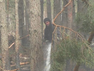 Рятувальники досі гасять кілька осередків тління на Житомирщині та поблизу Чорнобиля  