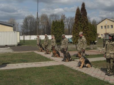 Охорону важливих військових об’єктів посилять 11 кінологічних розрахунків  