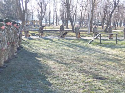 До застосування чотирилапих помічників готові…  