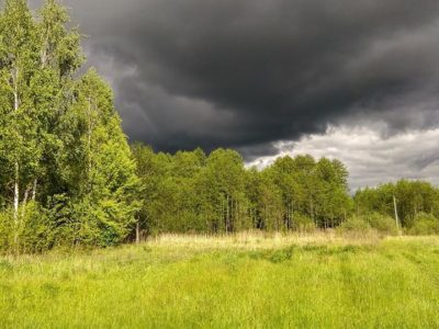 79 років  донька чекала на відомості про батька …  