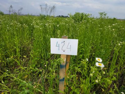 На Вінниччині ветерани АТО/ООС отримали вже близько 30 тисяч гектарів землі