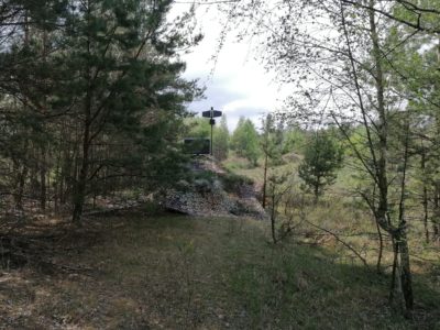 У прикордонних з Україною районах зс білорусі розгортають додаткові РЕБ  