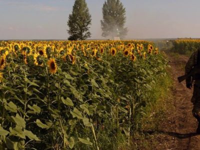 Війна та квіти: вплетені символи незламності духу  