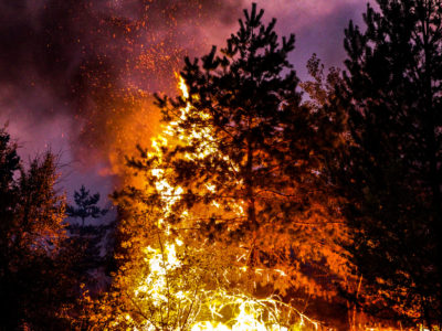 Луганщина знову у вогні  