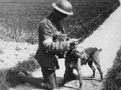 Чотирилапі, шестиногі та крилаті фронтові листоноші  