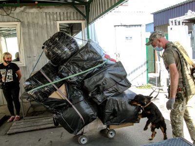 Контрабандистів на Луганщині «ловить» чотирилапий Одін  