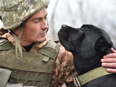 Собака на війні – вірний бойовий побратим  