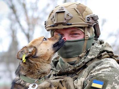 Військові сфотографувалися з безпритульними тваринами, щоб допомогти знайти їм господаря  