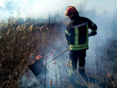 На території Донецької та Луганської областей підрозділами ДСНС ліквідовано  119 пожеж