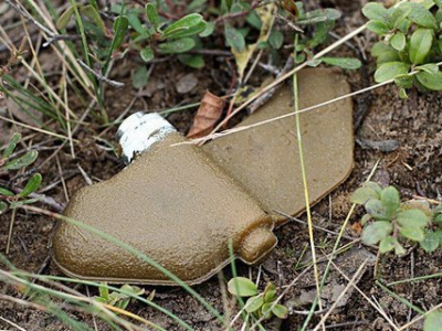 Міни скидають з дронів: в ЗСУ пояснили, навіщо росіяни мінують місцевість на Харківщині  