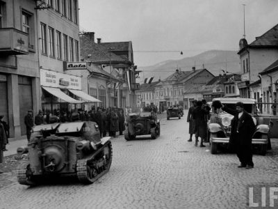 У бою на Красному полі січовики Карпатської України повторили подвиг Героїв Крут  