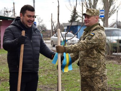 У районі проведення операції Об’єднаних сил військовослужбовці посадили дерево дружби  