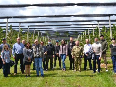 Ветерани війни обирають садівництво  