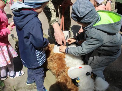 Як діти з бойовими медиками на «Богдані» іграшкового собаку рятували  