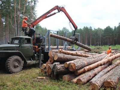 Волинський військовий лісгосп тільки за перше півріччя реалізував продукції більш ніж на 22 мільйони гривень  
