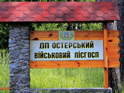 У чому важливість військових лісгоспів?  
