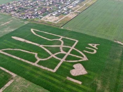 На полі під Києвом висіяли велетенський герб України
