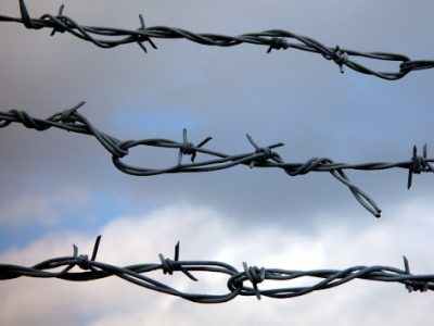 Україна виділить Литві колючий дріт для будівництва стіни на кордоні із Білоруссю  