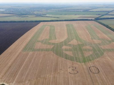 Найбільший тризуб України: на Вінниччині встановили національний рекорд  