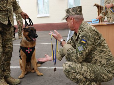 Найкращі парадні кінологічні розрахунки нагородив командувач Сил підтримки ЗС України
