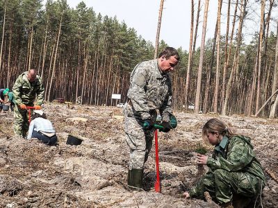 Сьогодні День працівників лісу