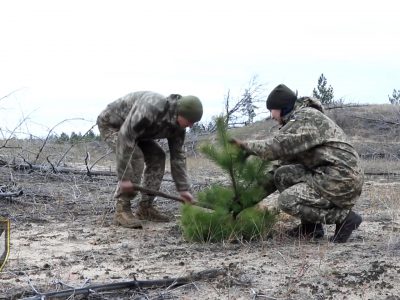 На Луганщині військові відновлюють ліс після пожежі  