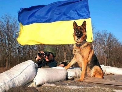 Війна. День 26. Коротко. Відеодайджест  