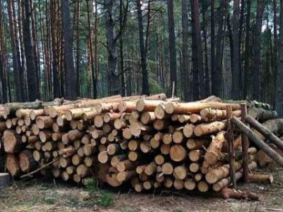 Лісівники Львівщини забезпечують захисників деревиною  