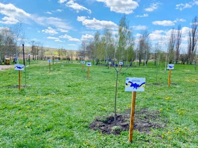 На Кіровоградщині на честь 10 українських міст-героїв висадили Алею з катальп і лип