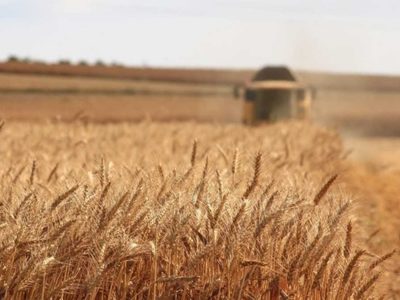 «Експропріацією» зерна в українських фермерів, росія продовжує справу сталіністів і нацистів – МЗС  