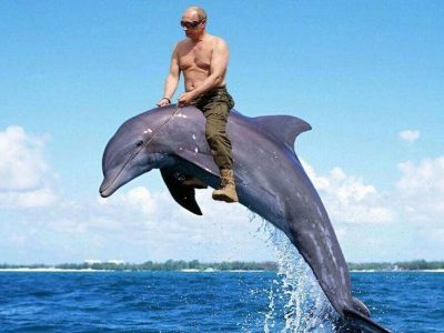 В орків мобілізують навіть дельфінів. На черзі — чорноморські бойові бички  