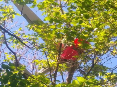 Князівські воїни з кулемета збили ворожий БПЛА, який «дирчав як мопед»  