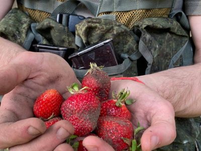 На Херсонщині окупанти працюють на полях заради їжі