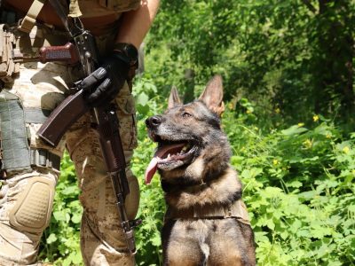 Розвідник Зорро – один із найдосвідченіших у кінологічному підрозділі  
