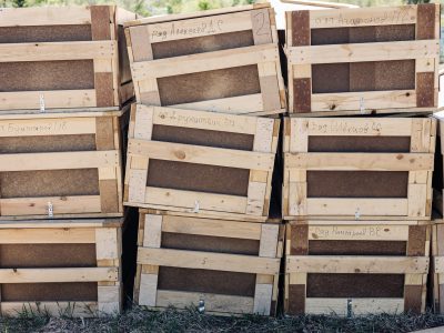 Загиблих рашистів рф видає рідним «порціями», щоб не шокувати кількістю трупів  