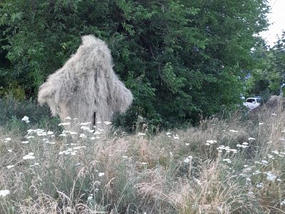 Житомирянин виготовляє для захисників оригінальні кікімори зі справжньої трави  