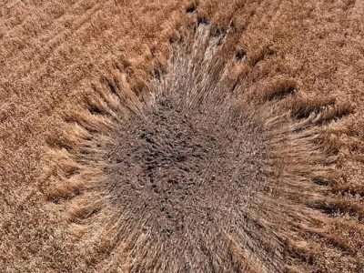 Збитки навколишньому середовищу від воєнної агресії рф зросли майже до 400 млрд грн – Мінприроди  