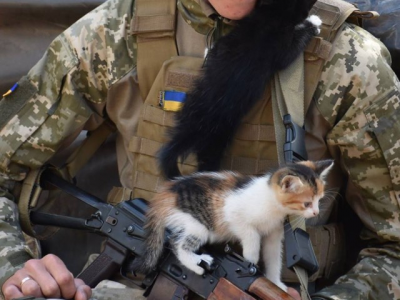 Україна не росія: ставлення до тварин – перевірка на людяність  