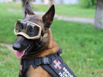Саперам ЗСУ передали американські засоби для захисту собак  