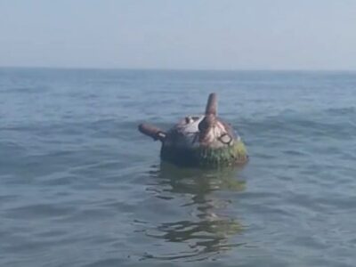 На Одещині знищено чергову міну, яку море винесло у прибережну зону  