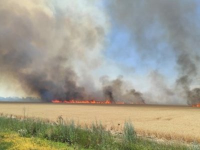 Миколаївщина у вогні: внаслідок обстрілів горять поля, будинки, знищується електромережа  