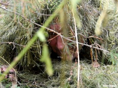 Що необхідно знати, аби правильно маскуватися  